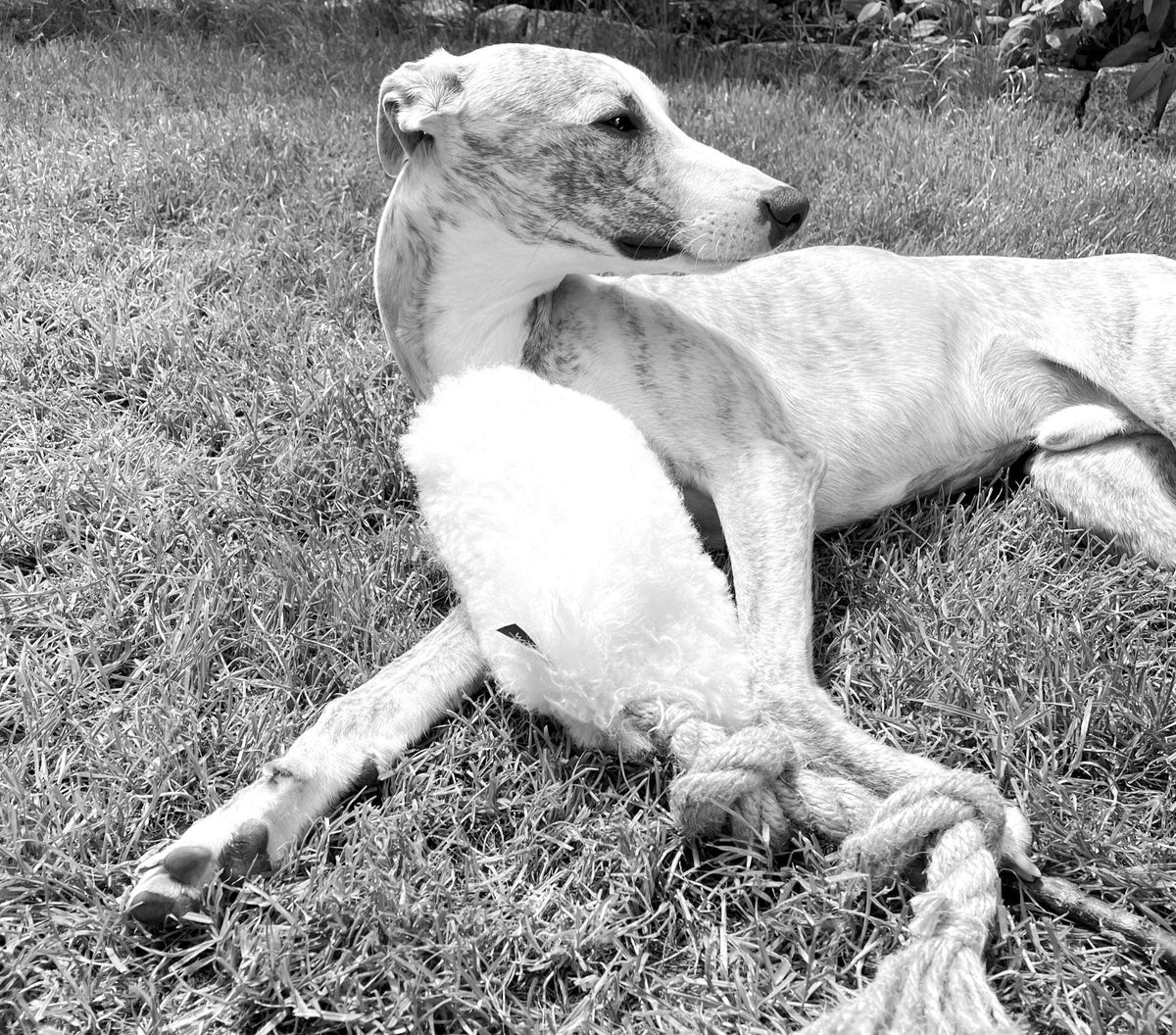 Natürliches Schaffell-Zerrspielzeug für Hunde – Beige