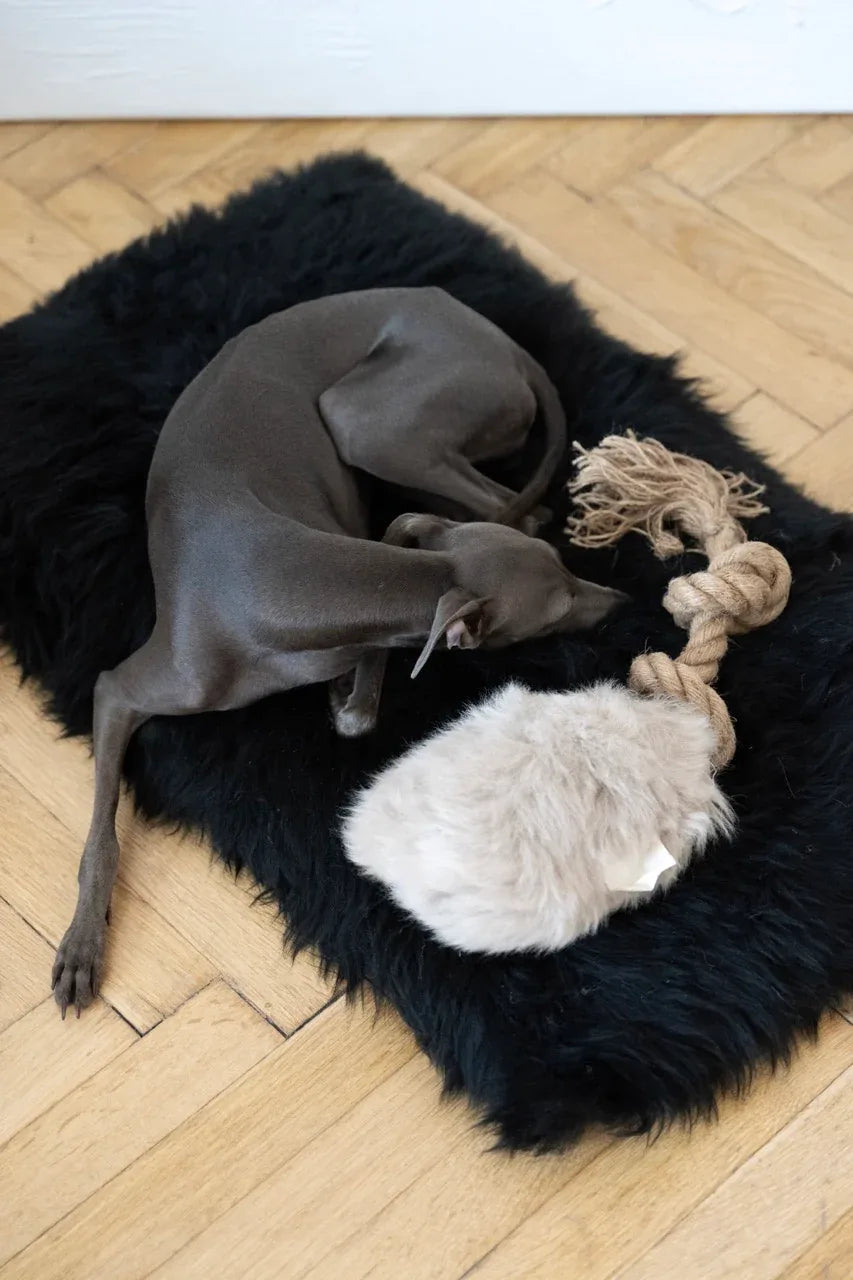 Natürliches Schaffell-Zerrspielzeug für Hunde – Beige