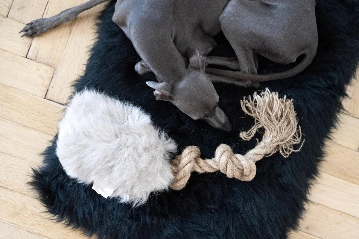 Natürliches Schaffell-Zerrspielzeug für Hunde – Beige