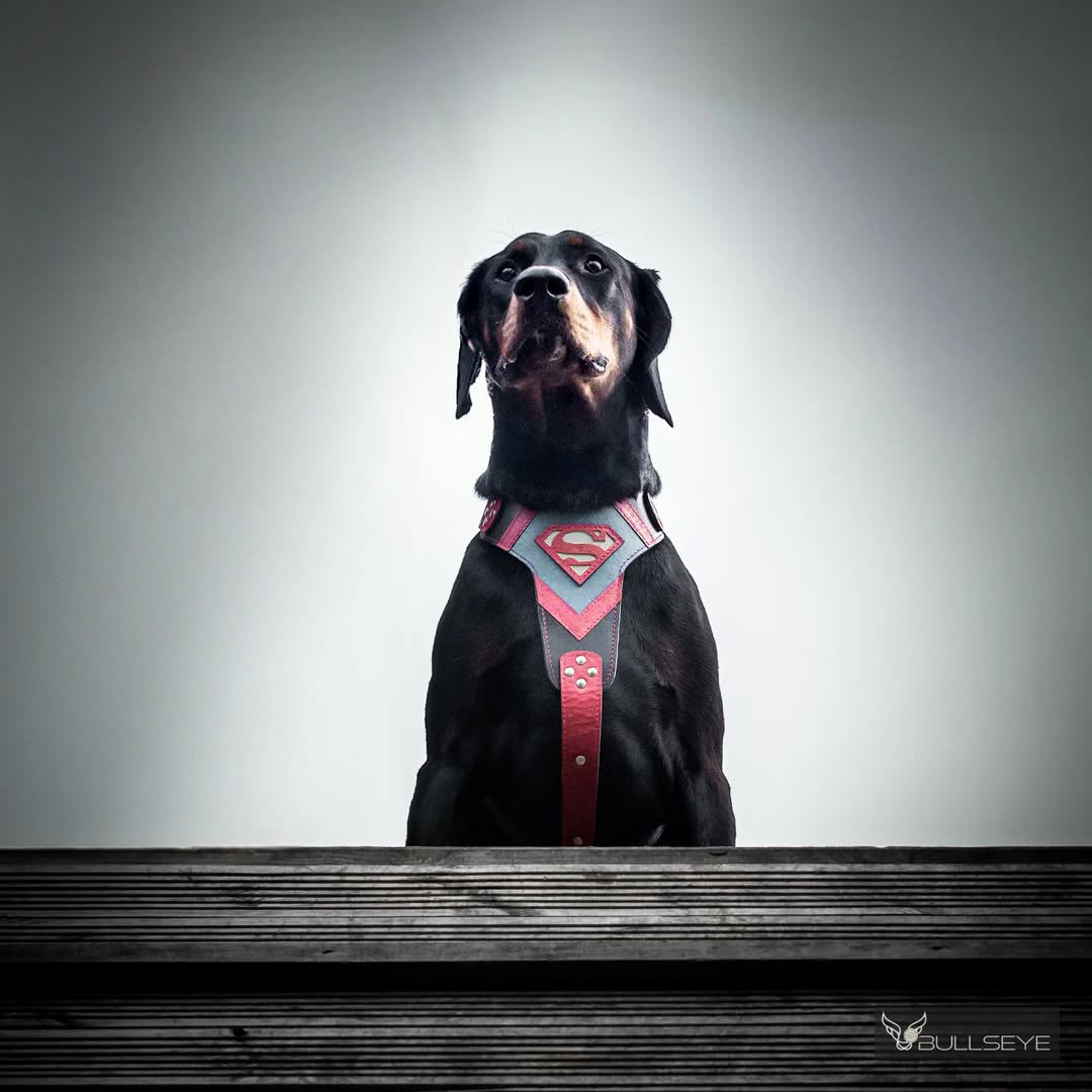 Superdog Hundegeschirr