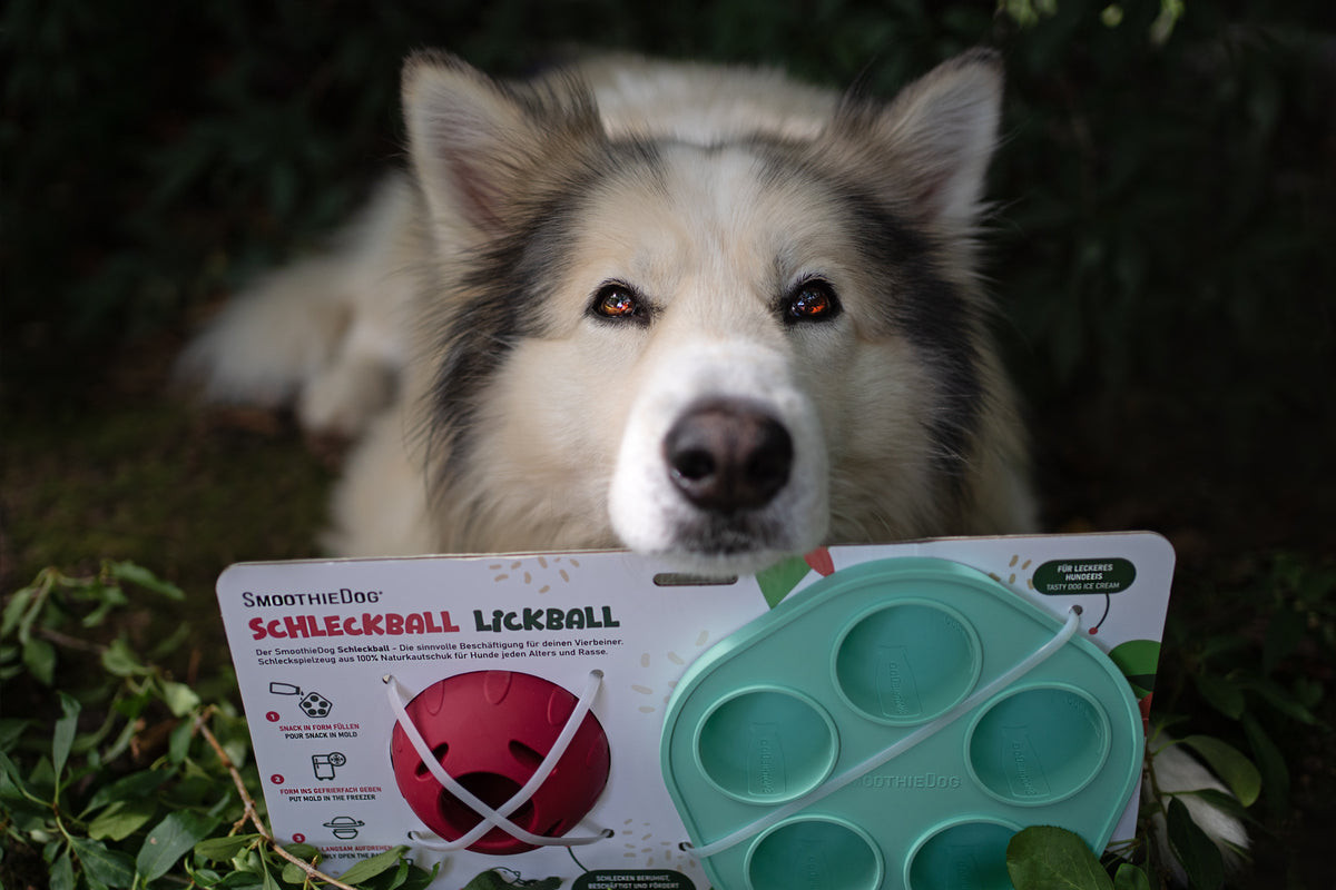 Schleckball mit Silikonform
